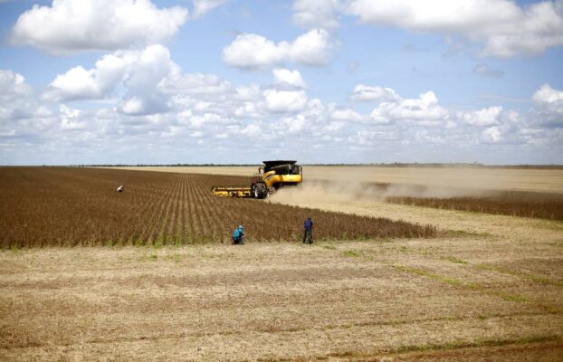 Start-ups invadem o campo, de olho em maior produtividade
