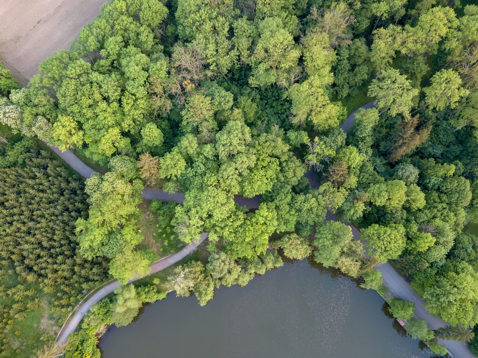 API e módulo de analytics de monitoramento e gestão ambiental, para produção sustentável