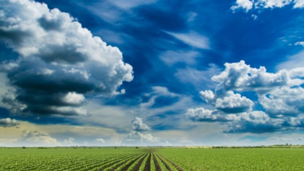 Scicrop é anunciada como uma das Startups selecionadas para Pitch Day do Agro Exponencial