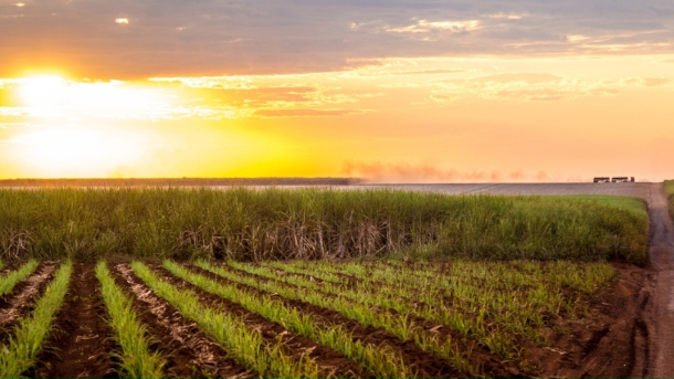 SciCrop implementou a 1ª rede privada brasileira de monitoramento agroclimático para um município, em Morro Agudo