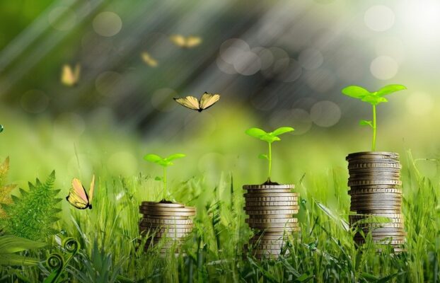 Agtech SciCrop levanta R$ 2 milhões em financiamento coletivo