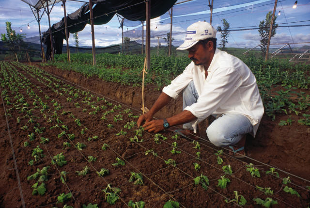 Crowdfunding pode ser saída para produtor rural, mas ainda levanta dúvidas