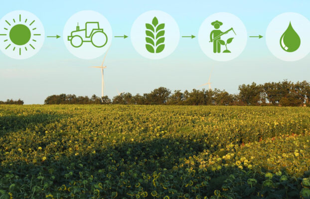Inovação e Tecnologia: O DNA da SciCrop no Setor Agro