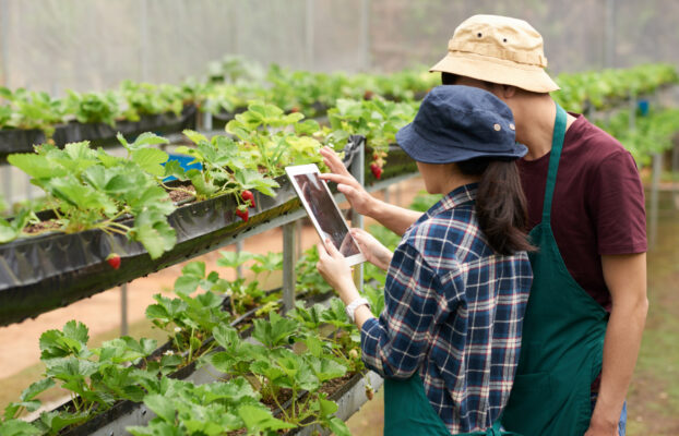 Como as Simulações Estão Moldando o Futuro da Agricultura