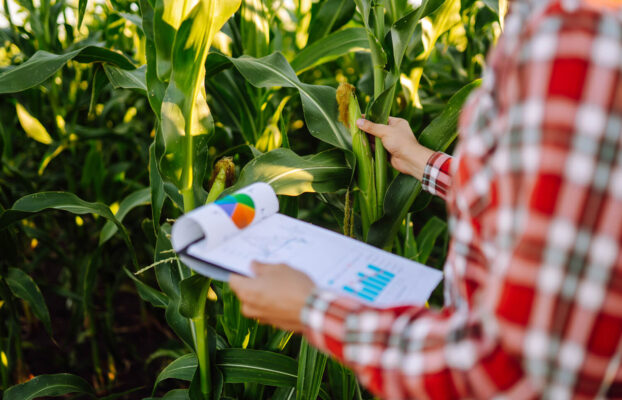 Da Informação à Ação: Como a Análise de Dados Está Impulsionando a Agricultura
