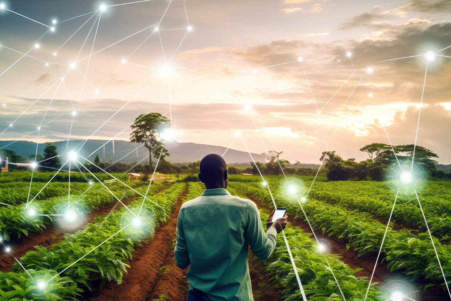 Conectando o Campo: IoT e a Revolução da Agricultura Conectada