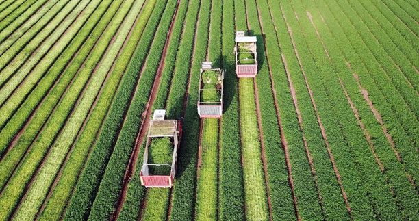 Outras Produções do Agro